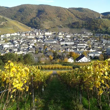 公寓 Moseltalblick 贝恩卡斯特尔-屈斯